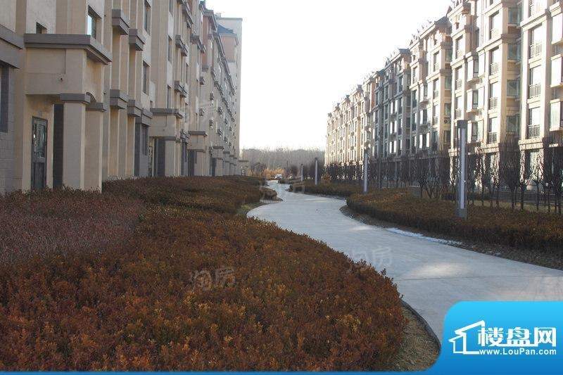 海新瑞景湾实景图