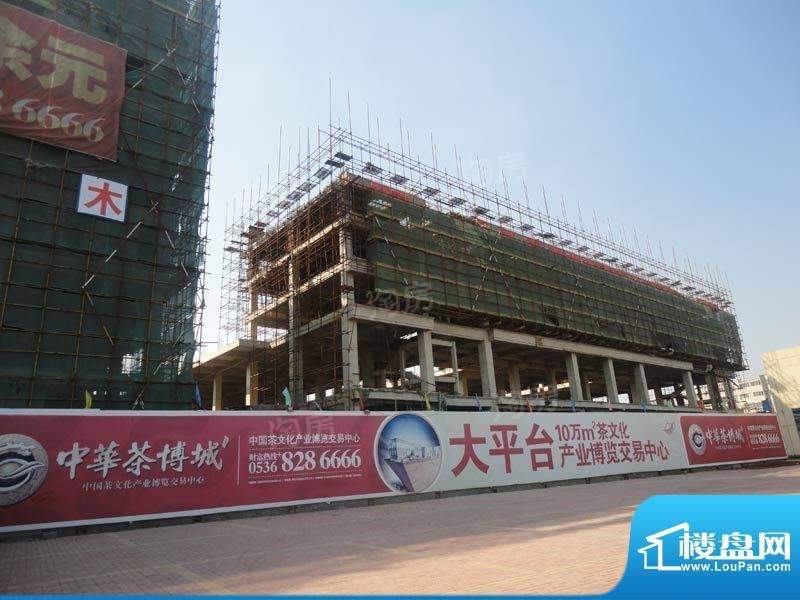 五米阳光实景图