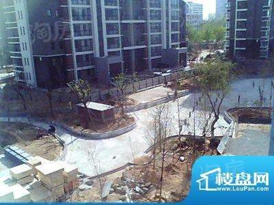 丹桂里实景图