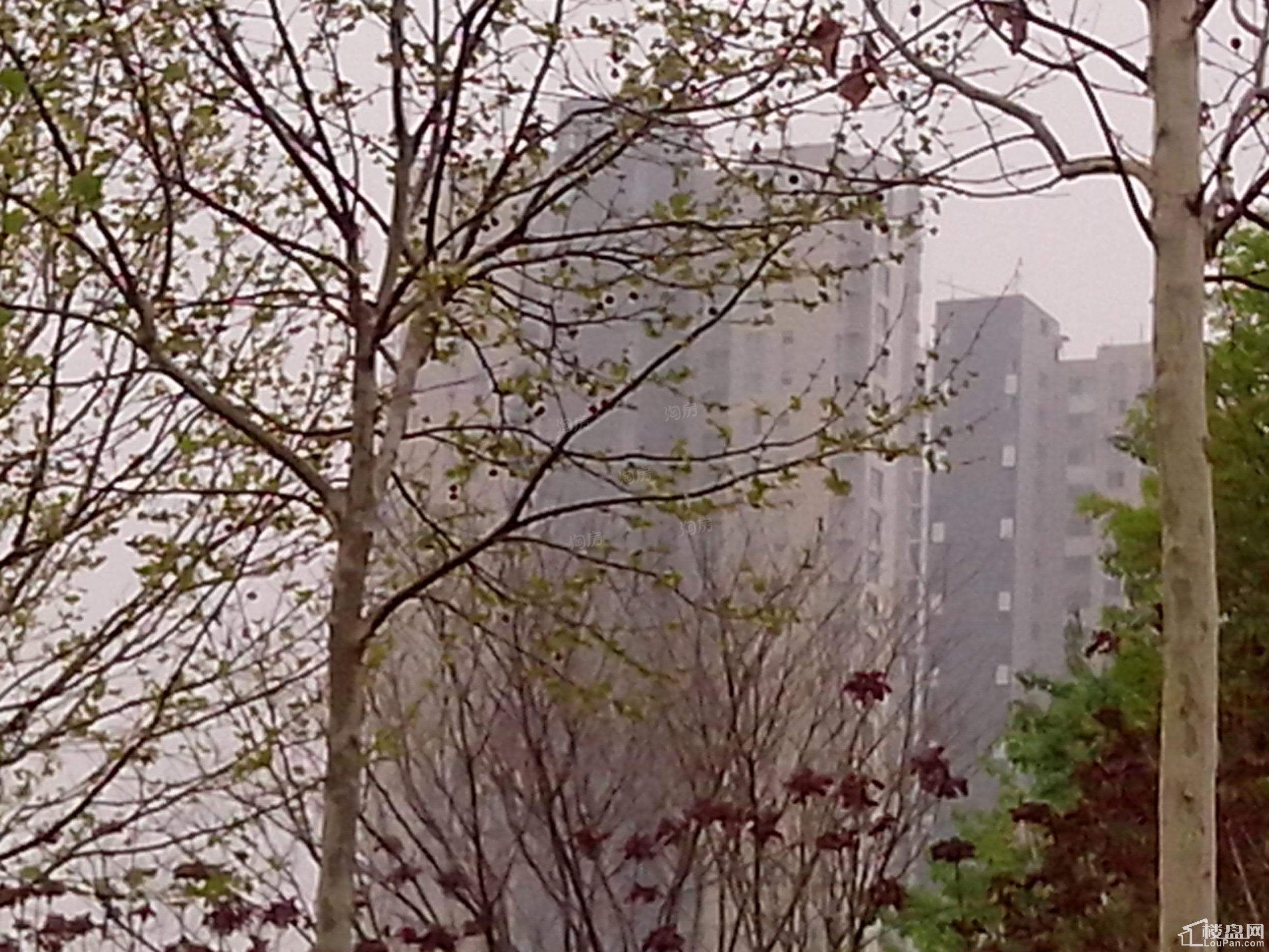 渤景湾实景图
