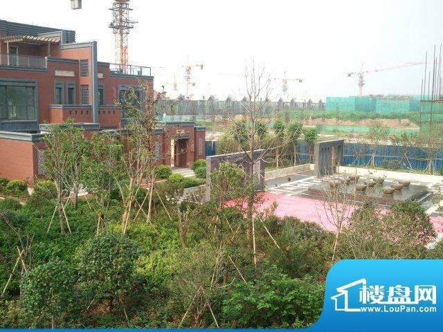 宝地御园实景图