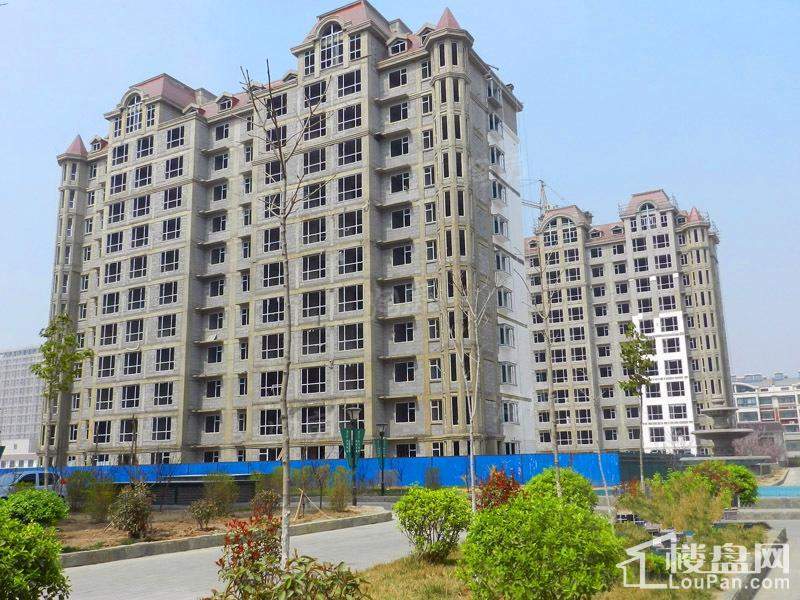 滨海北美枫情实景图