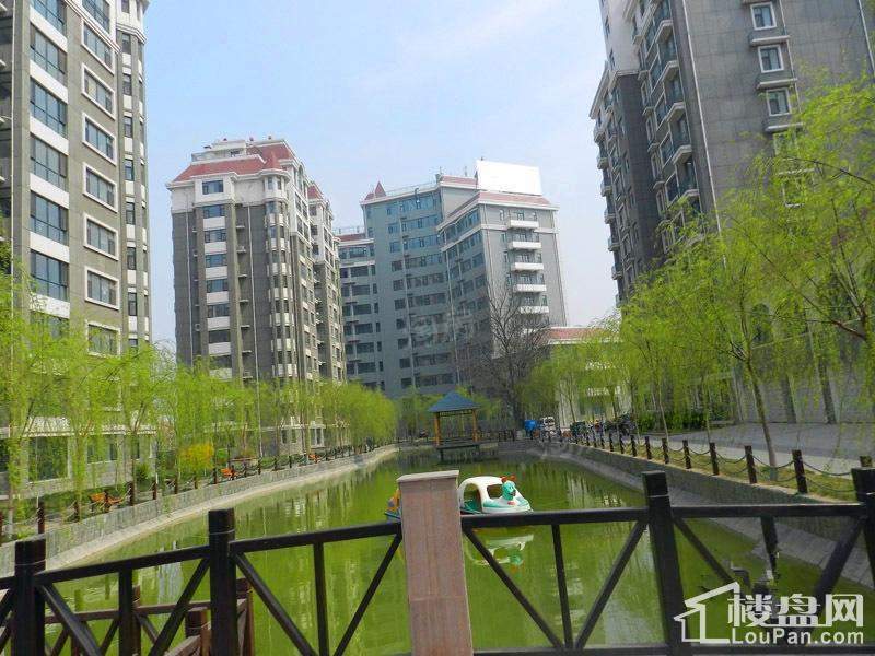 实景图