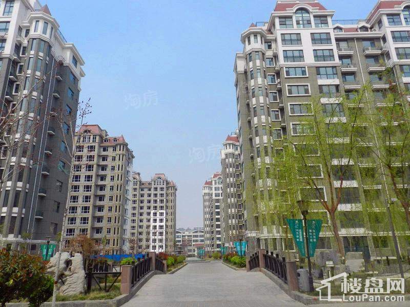 滨海北美枫情实景图