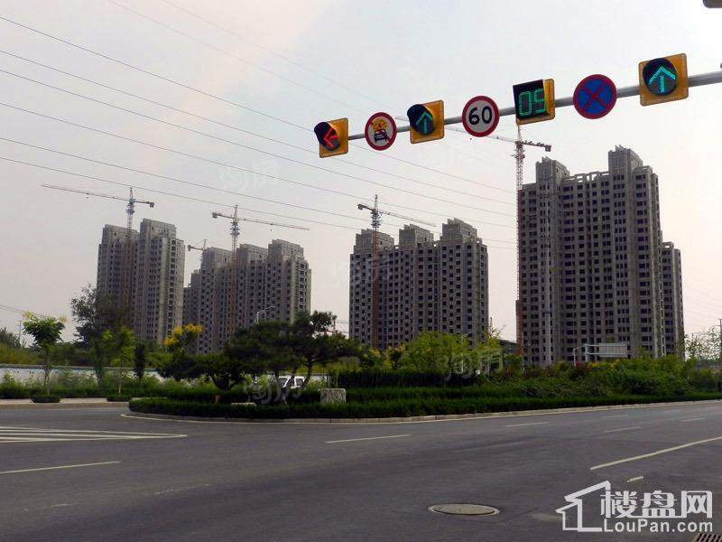 实景图