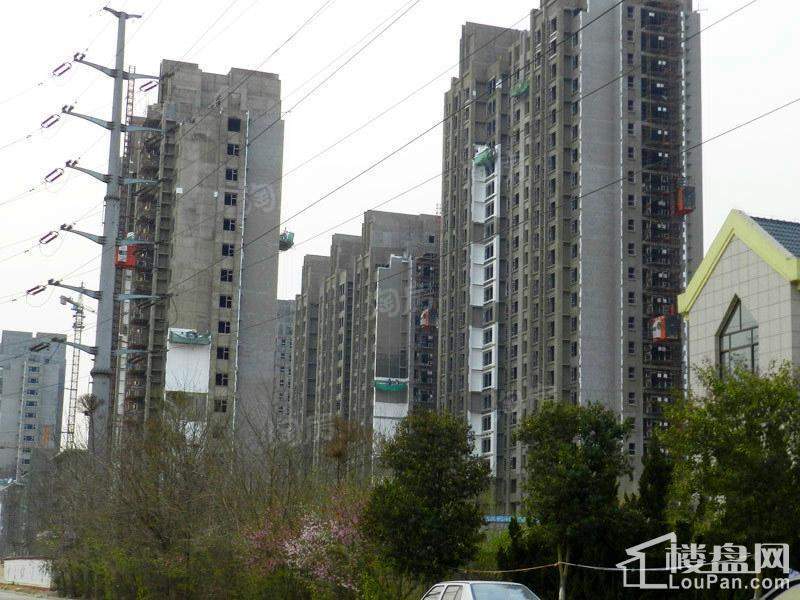 金宸公馆实景图