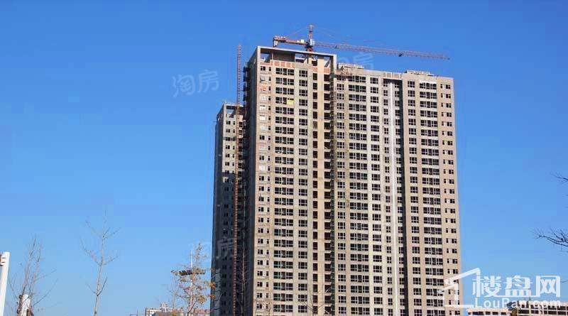 实景图