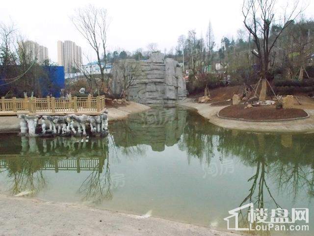 实景图