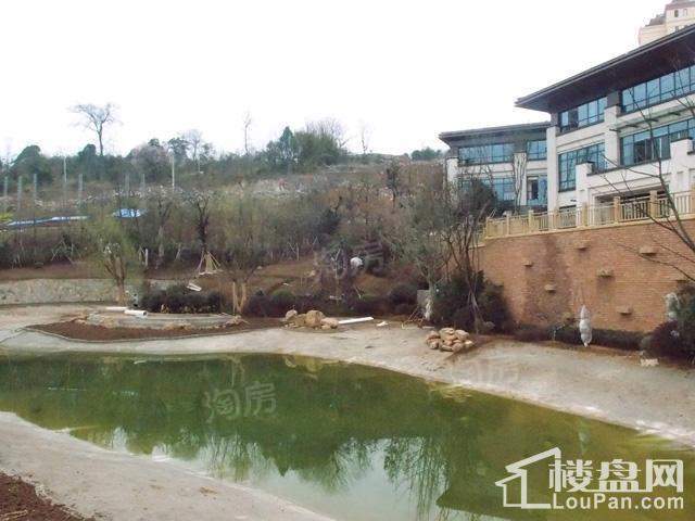 首开紫郡实景图