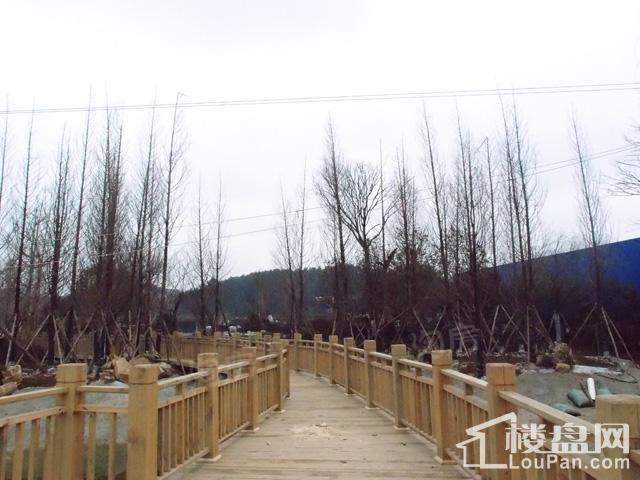 首开紫郡实景图