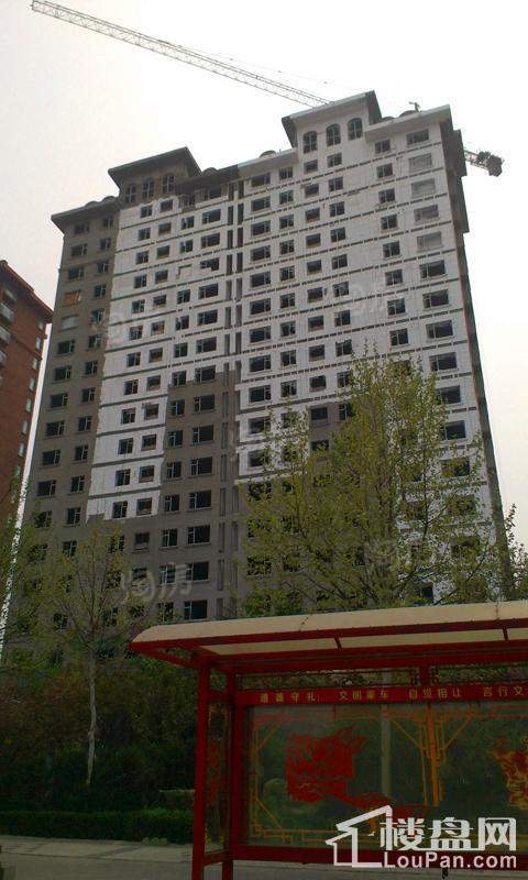 实景图
