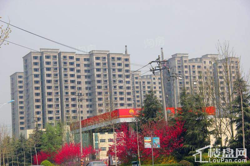 瑞珂沁园实景图