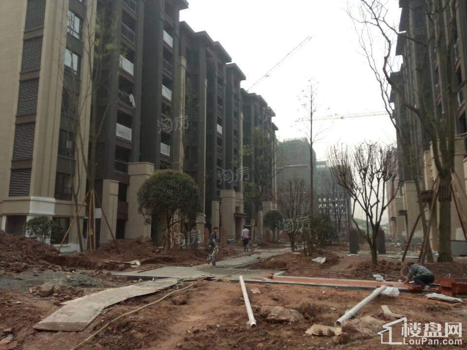 协信星澜汇 实景图