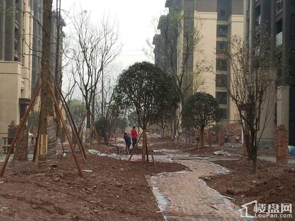 协信星澜汇 实景图