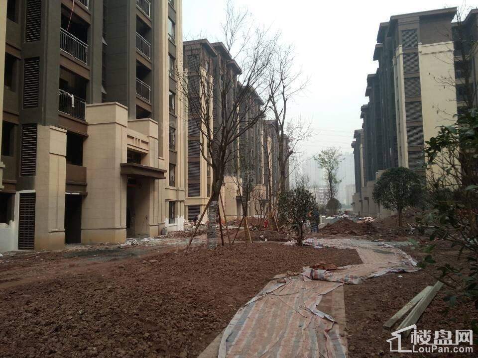 协信星澜汇 实景图