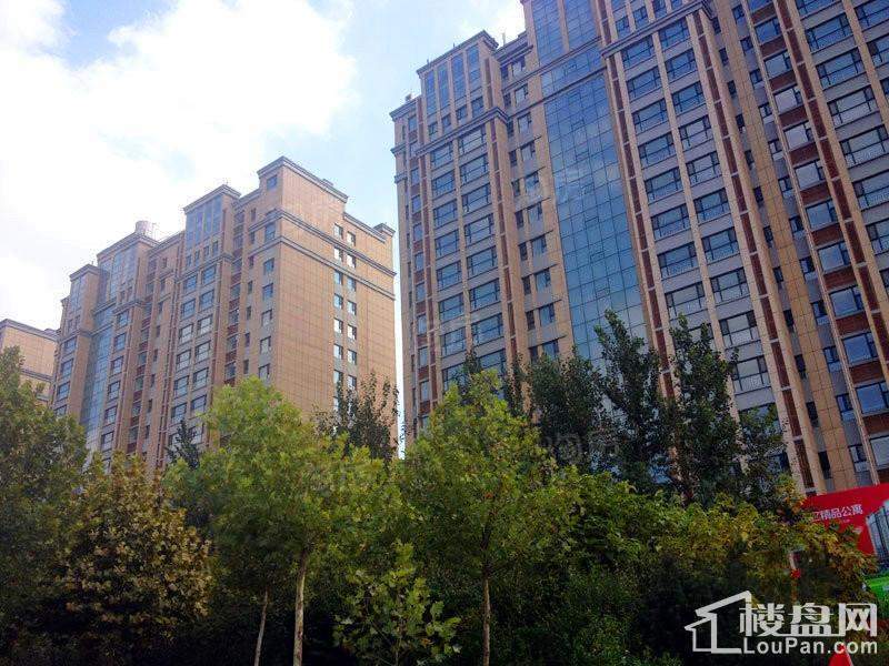 华都凤凰山庄实景图