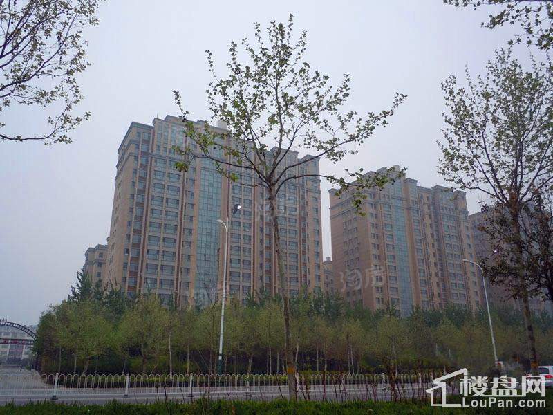 华都凤凰山庄实景图