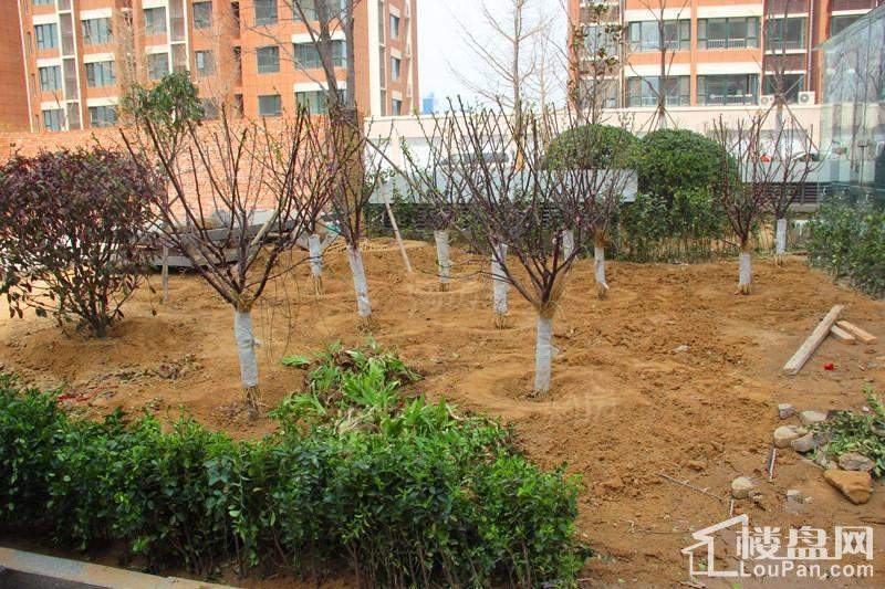 润福家园实景图