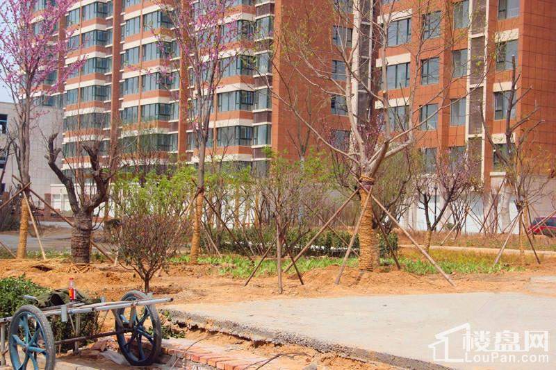 润福家园实景图