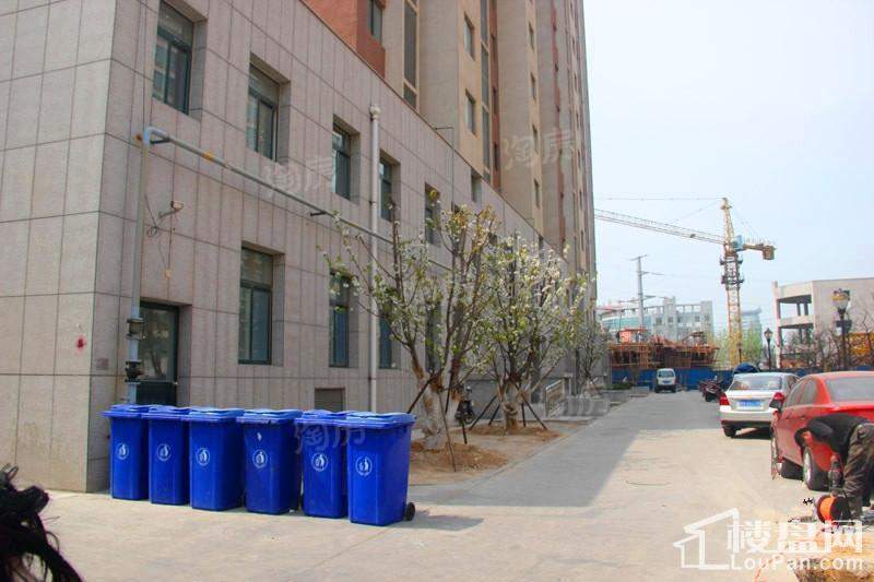 实景图