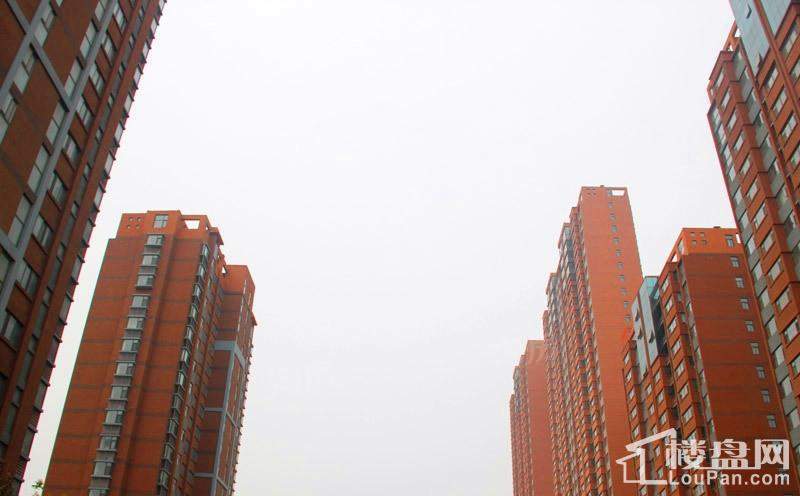 实景图
