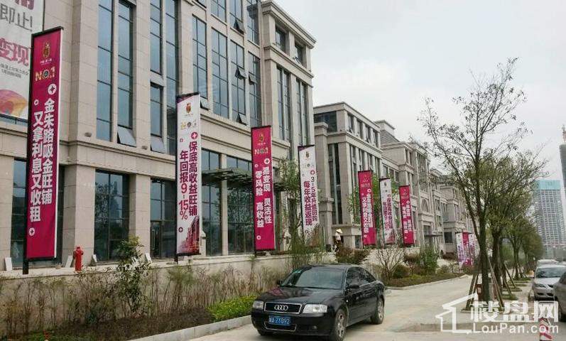 恒大帝景实景图