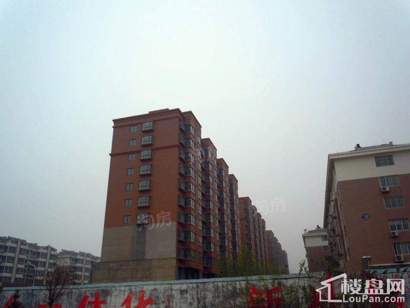 盛海第一园实景图