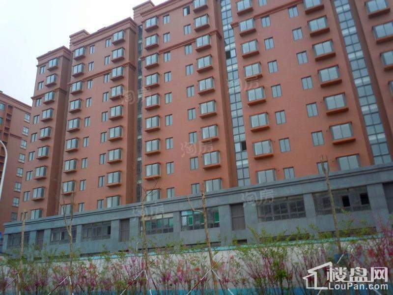 盛海第一园实景图