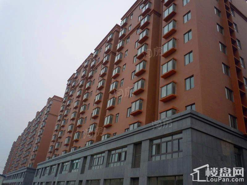 盛海第一园实景图