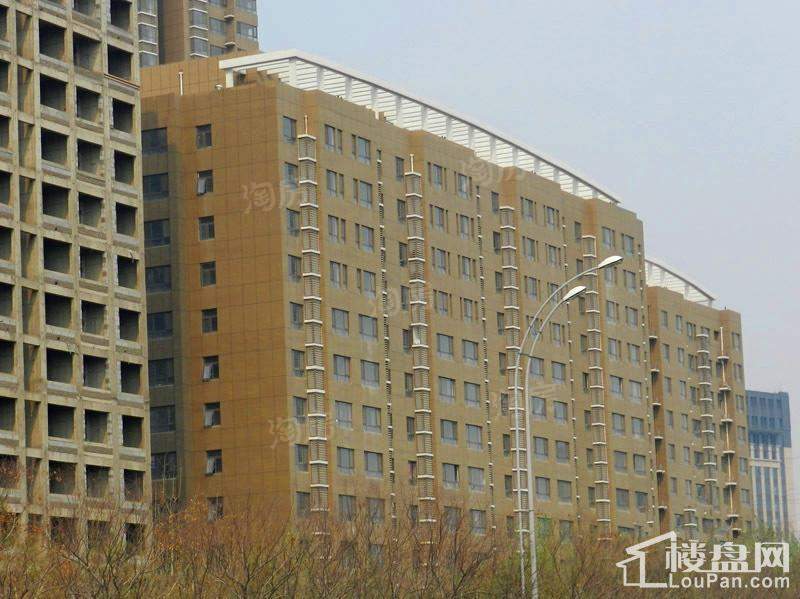 实景图