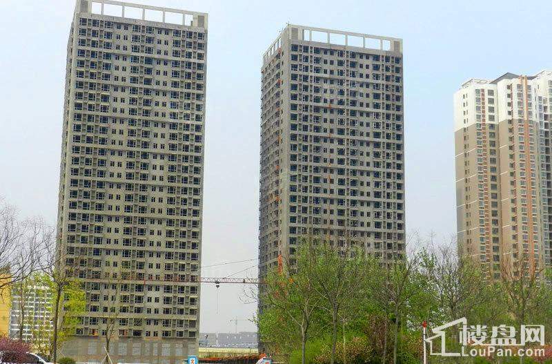 实景图