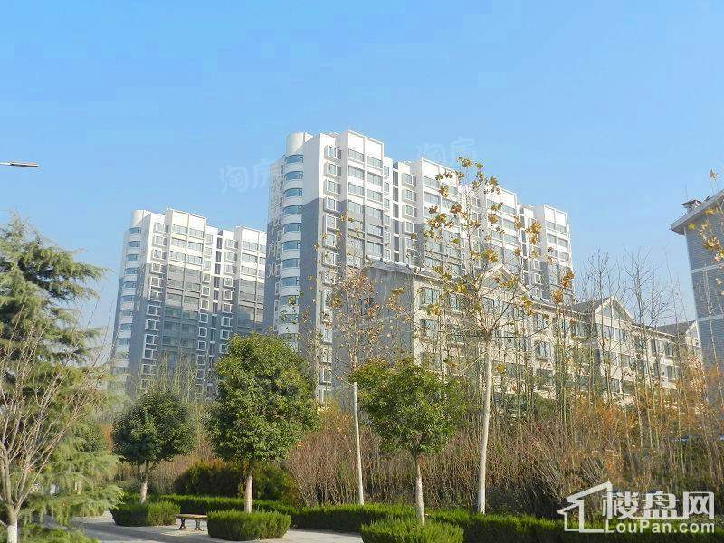 实景图
