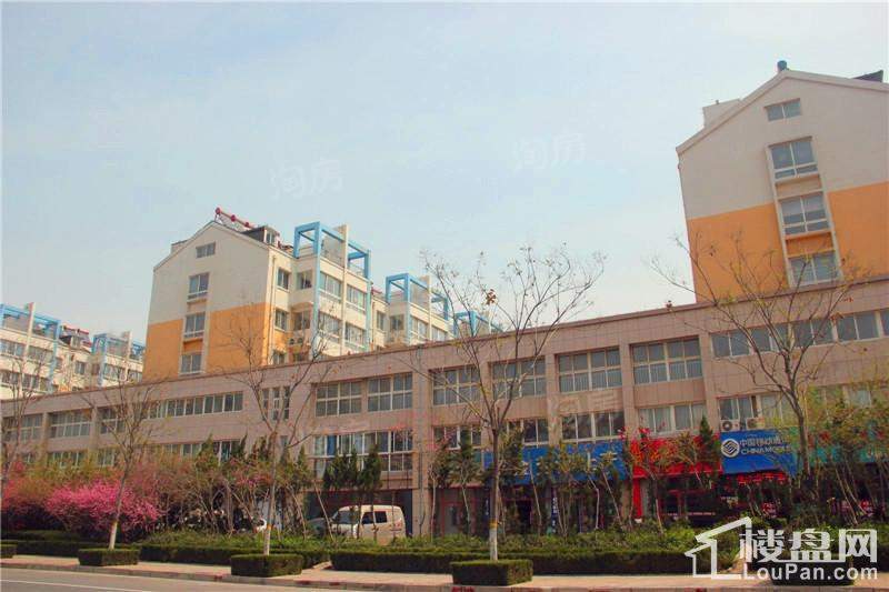 华安东方明珠实景图