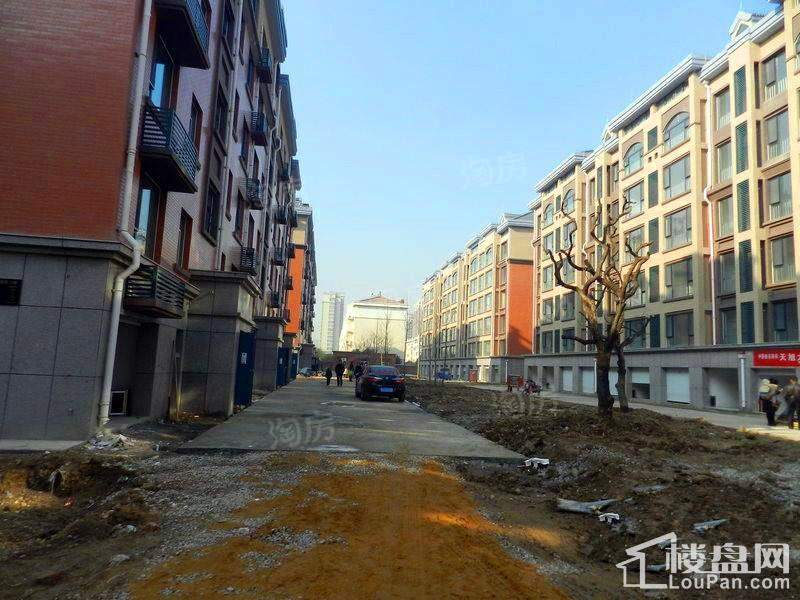 实景图