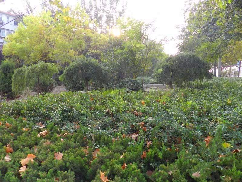 欧康欧城实景图