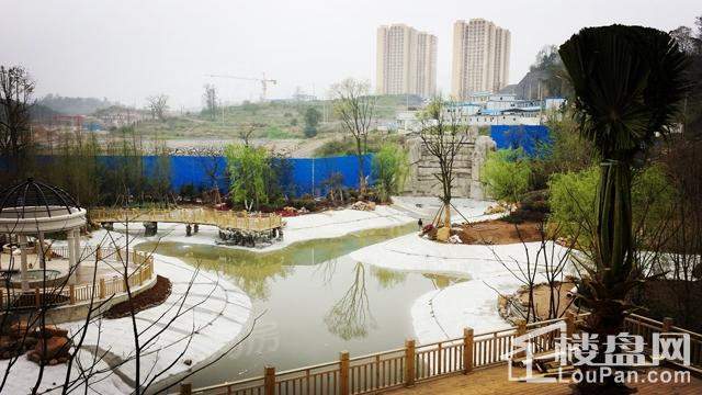 首开紫郡实景图