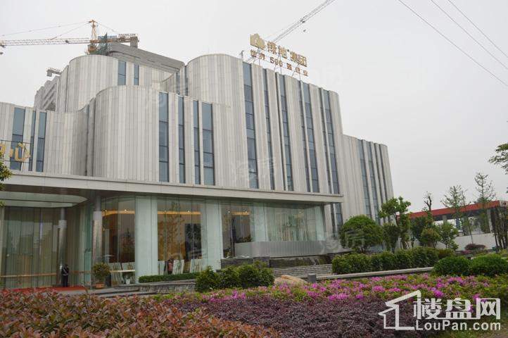 绿地新都会实景图
