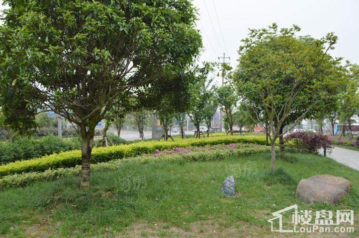 绿地新都会实景图