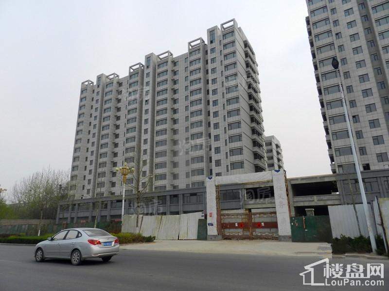 金色龙泉实景图