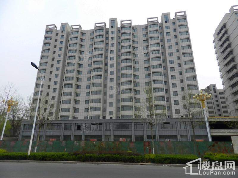 金色龙泉实景图