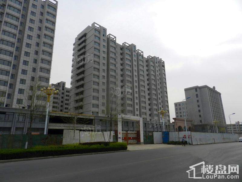 金色龙泉实景图