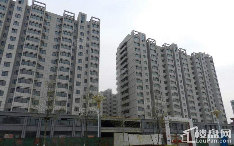 金色龙泉实景图