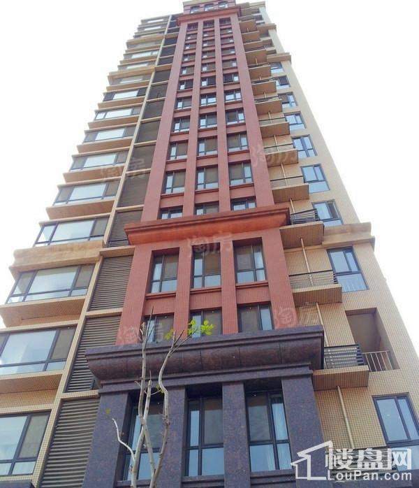 丽水芳洲实景图