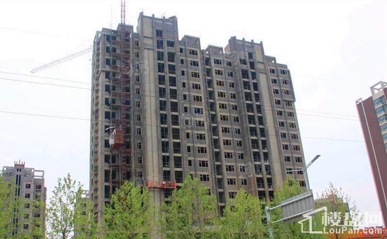 东城新华风景实景图