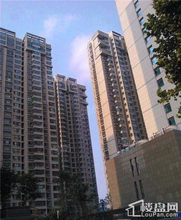 宝鼎花园实景图