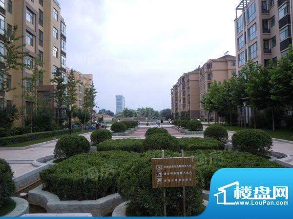 东方天韵实景图