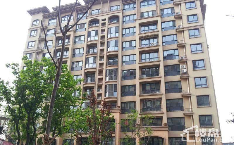 卧龙新居实景图