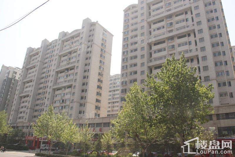 五洲花园实景图
