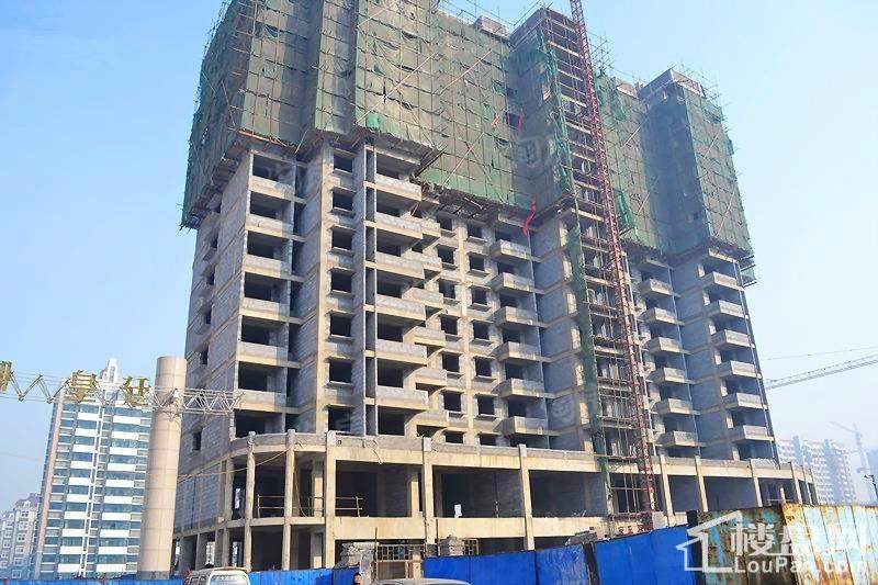 金御皇廷实景图