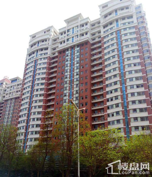 东方明珠实景图